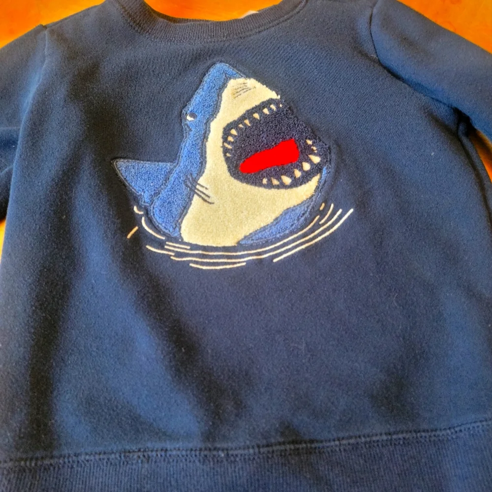 Sweatshirt - Picture 1 of 2